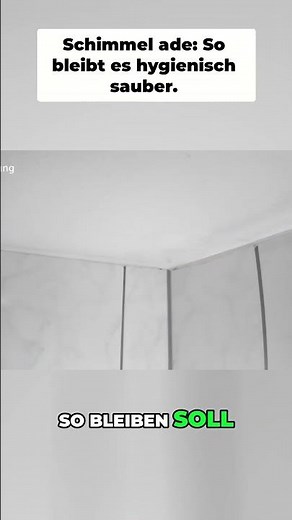 This trick stops mold instantly – and prevents new infestations #household #cleaning #mold