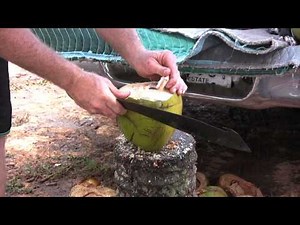 How to Open a Coconut
