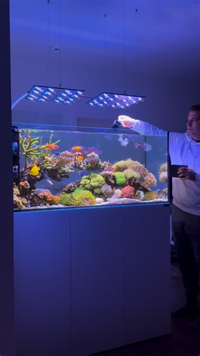 Flo‘s Reef | Feeding time 🐠 🧪: @oceamolab DUO + Regulator A&O 🧂: @ati_aquaristik Absolute Ocean & @nyos.aquatics Pure 💊: @nyos.aquatics &... | Instagram