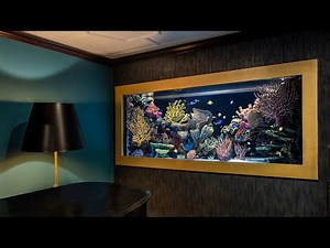 In Wall Aquarium Build - 600 gallon Saltwater See Through Fish Tank