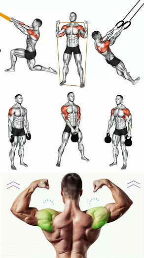 Shoulder exercises without equipment #Shoulder #exercises #fitness #workout | Fit-workout body