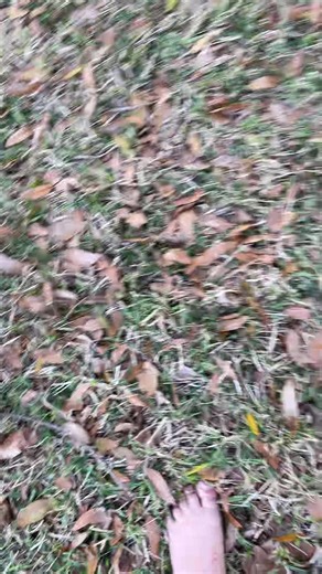 the official luis Fernando. (@the.official.luis)’s videos with original sound - the official luis Fernando.