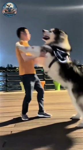 PUPPY GROWTH MAGIC ✨