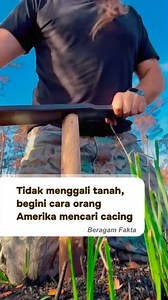582K views · 6.6K reactions | Ini namanya teknik Worm Grunting, yang melibatkan menggosokkan dua batang kayu bergerigi di tanah untuk menghasilkan getaran yang ditakuti cacing karena mirip suara predator seperti tikus tanah, sehingga cacing keluar ke permukaan. Selain itu, getaran juga bisa disalahartikan oleh cacing sebagai suara hujan, memicu mereka untuk muncul ke permukaan.  ig/countboyz #beragamfakta #reels #fyp #explore #worms | Beragam Fakta | Facebook