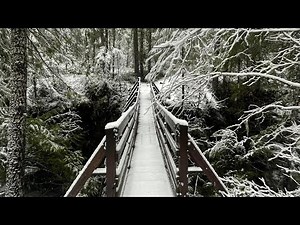 Unexplained disappearances in the Washington wilderness | ARC Seattle