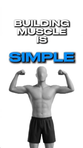 How To Actually Build Muscle?
