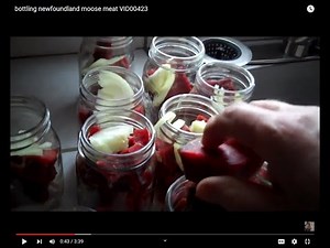bottling newfoundland moose meat