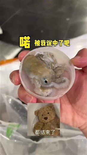 Last bag it's obviously an octopus! The coconut octopus that farts! Bitten me fear! #WangXiaoGuan