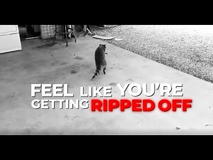 The Best Party Rental Software