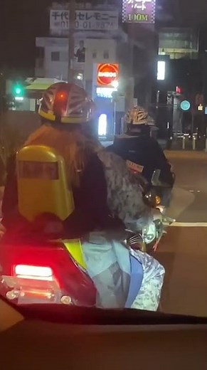 ヤッシーコール二重奏 XJR&CB250N