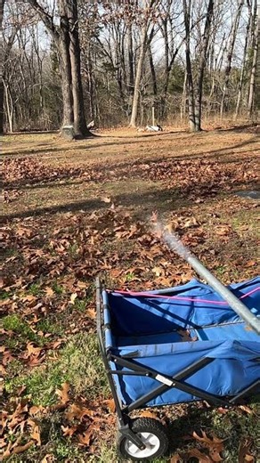 Potato cannon #roblox #cat ￼ #cute