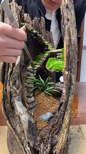 Creating a Miniature Garden: Step-by-Step Guide