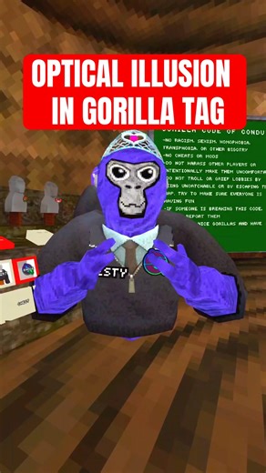 Attempting An Optical Illusion.. #gorillatag #vr