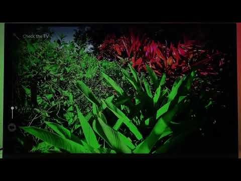 PHILIPS 32PFS6939 – Cara Akses Menu Diagnosis Mandiri