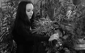 Addams Family S1E03 (Festers Punctured Romance)