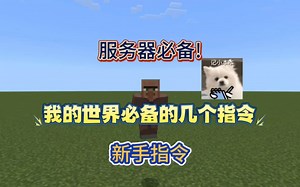 我的世界必备的几个指令，简单易学！