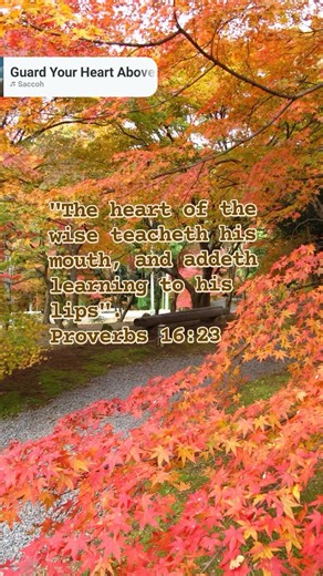 26 shares | Proverbs 16:23 (KJV) states: "The heart of the wise...