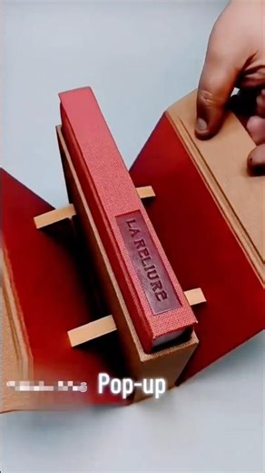Luxury Book-Style Storage Box 📕 | Elegant Red Textured Gift Packaging “La Reliure” Design
