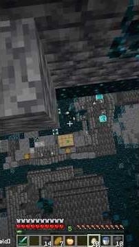 💀 “Killing the Warden WITHOUT touching him… BIG mistake 😈 #minecraft #clips