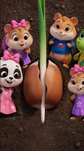 Episode How plants Grow