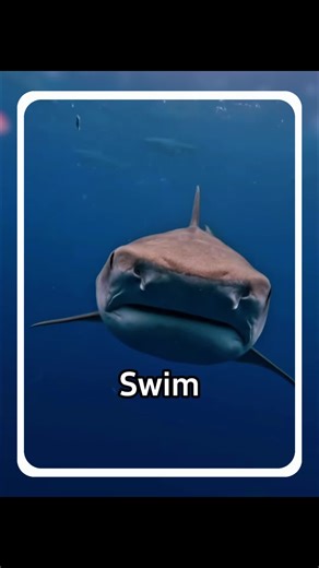 Can my friend swim here?#popular #usa #usa_tiktok #usa🇺🇸 #swim | swim