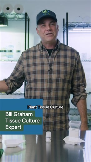 For the first time ever, we’re giving you a snapshot of our renowned Master Class for free 👇 Hosted by PCT and cannabis cultivation maestro, Bill Graham: 📺 In this six-episode series, explore tissue culture, an innovative method transforming cannabis cultivation. 👉 Simply comment “MINI SERIES,” and we’ll promptly share the link in your DM! 💌 🌿 Episode One: “Basics of Cannabis Tissue Culture Media” – Dive into the fundamentals of tissue culture media and how to tailor it for cannabis. 🌱 Epi