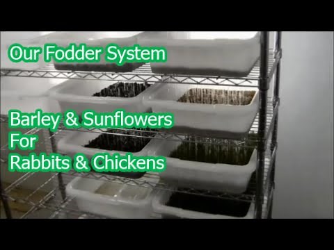 Our Fodder System - Version 2