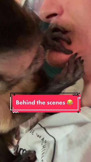 Monkey Grooming: Behind the Scenes 🐵😬😂