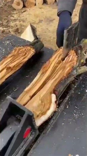 splitting branches of a tree that has been cut down #shortvideo