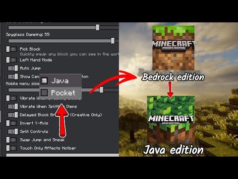 Do like this setting to turned bedrock edition intio Java edition in Minecraft