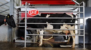 R2D2 is in your barn, milking your cows