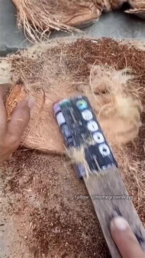 How to make coconut fiber powder for your plants #garden #roomtogrow