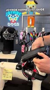🐕 How to Get the Right Fit With a Joyride Harness
