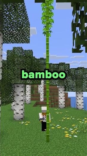 How To Get RICH on SharkSMP