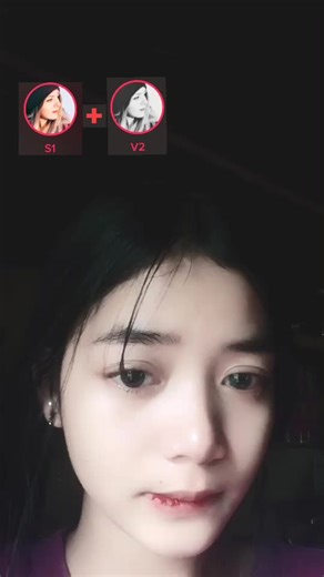 Exploring Icon Relationships with S1 and V2