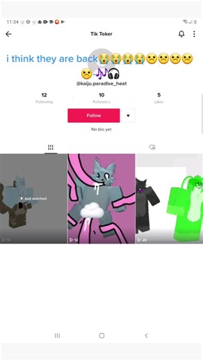 diamond pup on TikTok