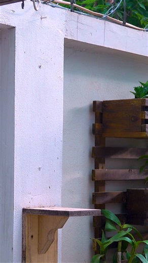 Woodworking Projects: Transform Solid Wood into Art