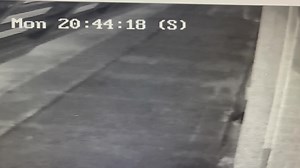 10K views · 21 reactions | The Albany Police Department would like the public's assistance with identifying the suspect in the photo. The suspect committed the crime of Criminal Damage to Property in the 400 block of N Cleveland St. If anyone has any information regarding the identity of the suspect, please contact the Albany Police Department at 229-431-2100 or Crime Stoppers at 229-436-TIPS. | Albany Ga Police Department | Facebook