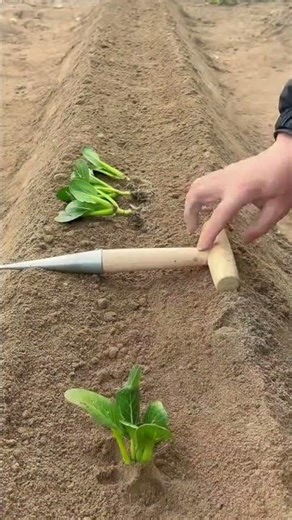 Vegetable Planting Hole Digging Tool Technology