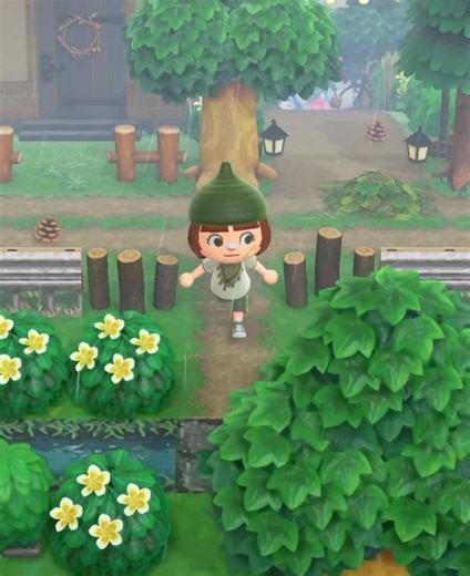 Exciting Island Tour in ACNH