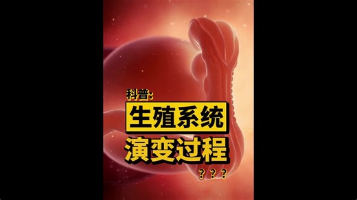 一次性看完，人类生殖系统演变的神奇过程