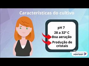 Produção de biopesticidas: Bacillus thuringiensis
