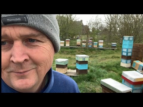 Building Mini-Plus Mini mating nuc frames on 6 frames nucs