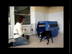 Clicker Training Shaping