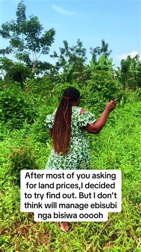 Exploring Land Prices in Bisiwa