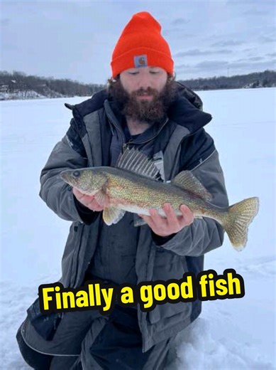 another nice walleye through the ice! @JustLoudNotFast 🍻 #walleyes #walleyefishing #walleye #followers #fishing