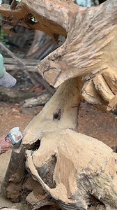 Eagle claw shape using ninja grinder #woodworking #ideas #inspirasi | Bumi Karya Jati