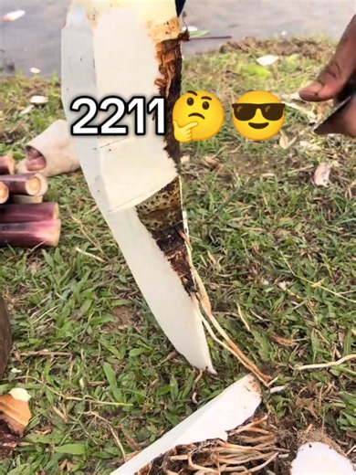What is the TikTok 2211 Trend? 🤔😎