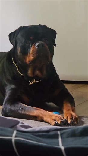 😀 | Sergio Santos Angaros