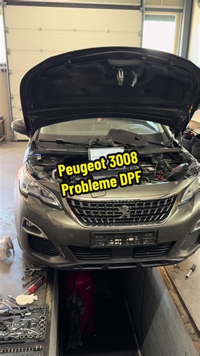 Peugeot 3008 DPF EGR ADBLUE Off with Chiptuning